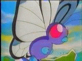 butterfree1.gif (15670 bytes)